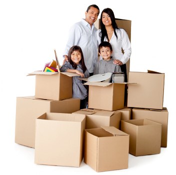 Regular policy review and safe working standards for removals