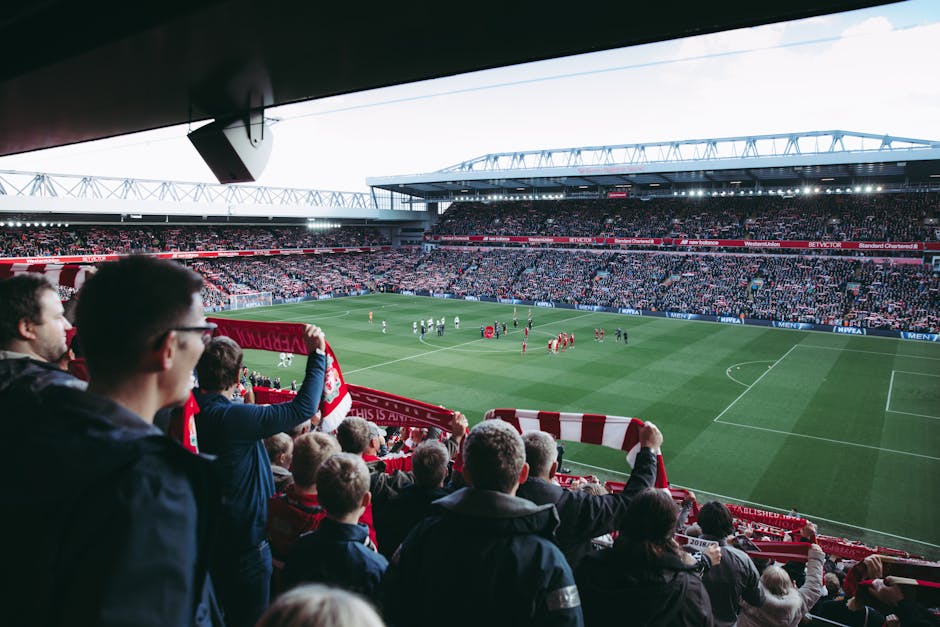 In the foreground, several football fans are seated in the stands at Craven Cottage, with some holding up red and white scarves, and others watching the match on the field. The fans are dressed in cas